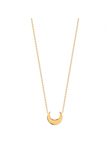 Collier plaqué or LUNA chaine et lune