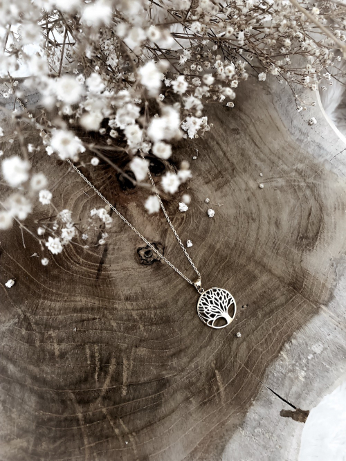 Bijoux plaqué or femme pas cher collier arbre de vie